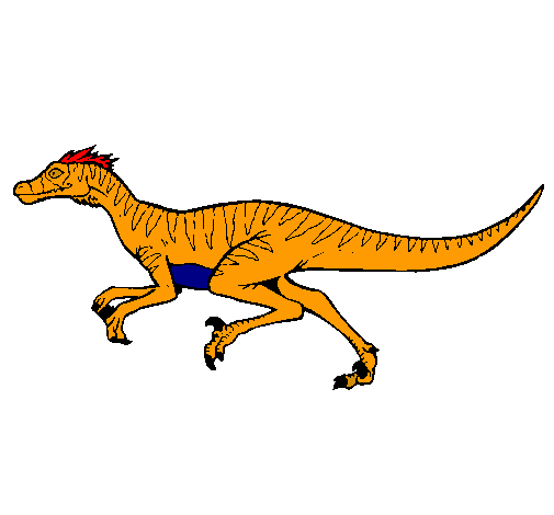 Velociraptor