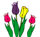 Dibujo Tulipanes pintado por dani
