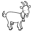 Dibujo Cabra pintado por cabra
