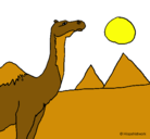 Dibujo Camello pintado por vicen