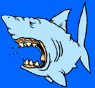Dibujo Tiburón pintado por osmar