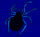 Dibujo Araña venenosa pintado por irwin