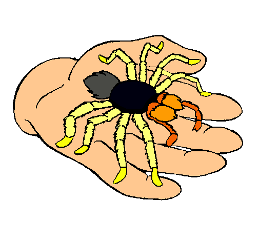 Tarántula