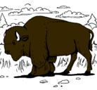 Dibujo Búfalo  pintado por dante