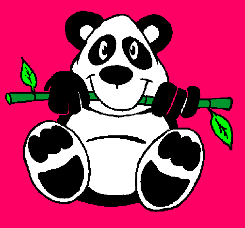 Oso panda