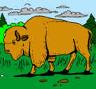 Dibujo Búfalo  pintado por tiago