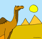 Dibujo Camello pintado por anita