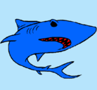 Dibujo Tiburón pintado por sasha