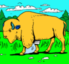 Dibujo Búfalo  pintado por salvador