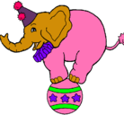 Dibujo Elefante encima de una pelota pintado por valeriaypaola