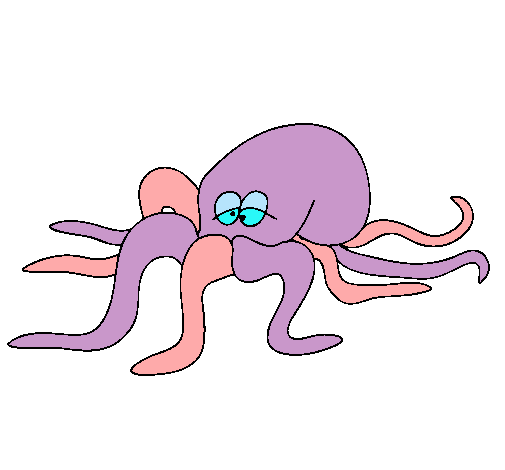 Pulpo