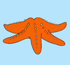 Dibujo Estrella de mar pintado por LAIA