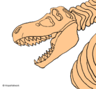 Dibujo Esqueleto tiranosaurio rex pintado por fabian