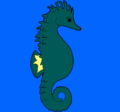 Caballito de mar