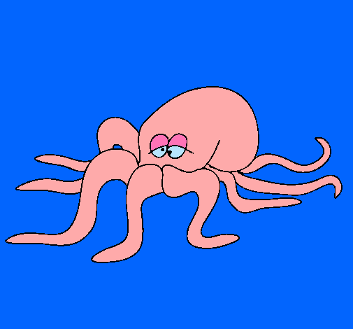 Pulpo