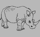 Dibujo Rinoceronte pintado por pablo5