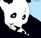 Dibujo Oso panda con su cria pintado por victor