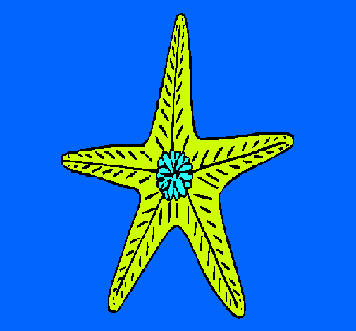 Estrella de mar