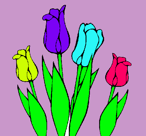 Tulipanes