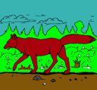 Dibujo Coyote pintado por kevinjesusolaisrodri