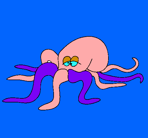 Pulpo