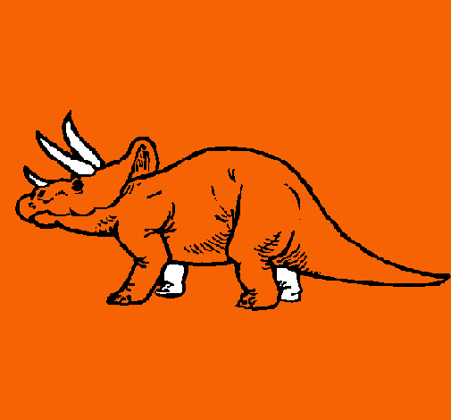 Triceratops