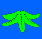 Dibujo Estrella de mar pintado por caracola