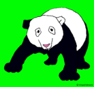 Dibujo Oso panda pintado por civo