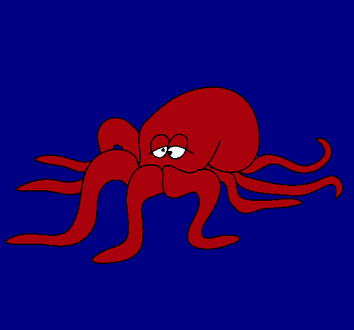 Pulpo