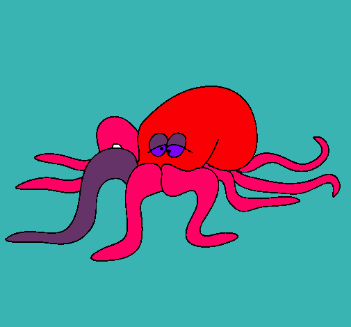 Pulpo