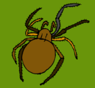 Dibujo Araña venenosa pintado por analuisa
