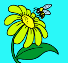 Dibujo Margarita con abeja pintado por fabi