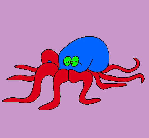 Pulpo