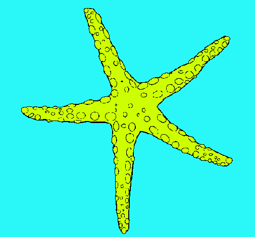 Estrellita de mar