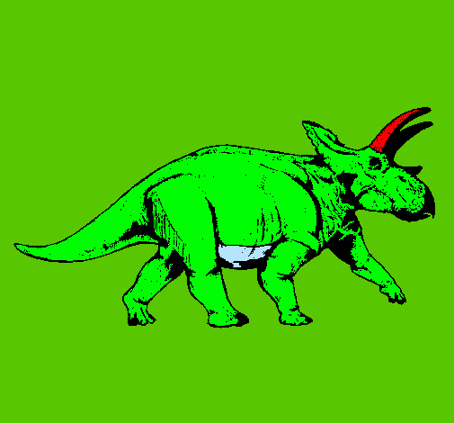 Triceratops