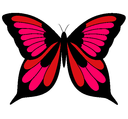 Mariposa