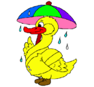 Dibujo Pato bajo la lluvia pintado por PATITO