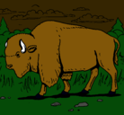 Dibujo Búfalo  pintado por energarespecies