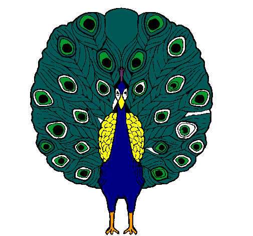 Pavo real