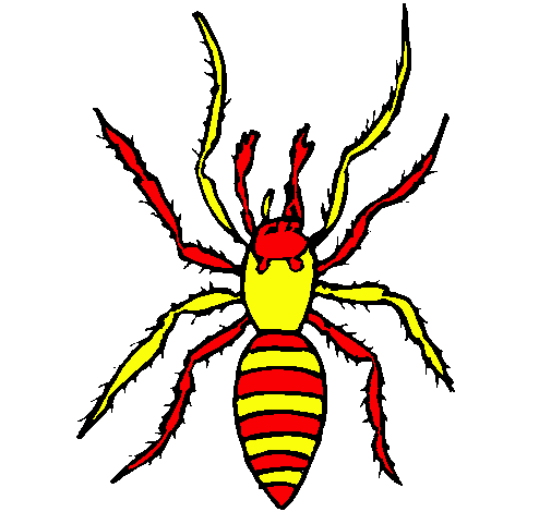 Araña tigre