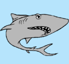 Dibujo Tiburón pintado por victor