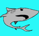 Dibujo Tiburón pintado por tomas