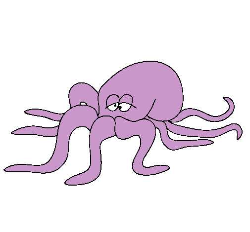 Pulpo