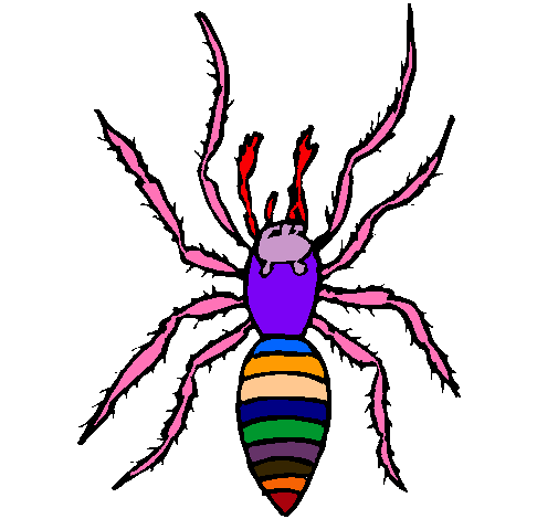 Araña tigre