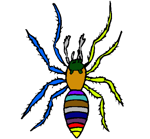 Araña tigre