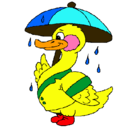 Dibujo Pato bajo la lluvia pintado por michelle
