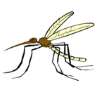 Dibujo Mosquito pintado por dani