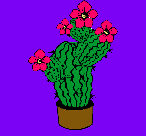 Flores de cactus