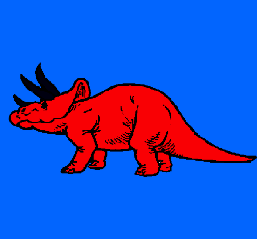 Triceratops