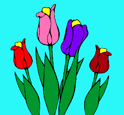 Tulipanes